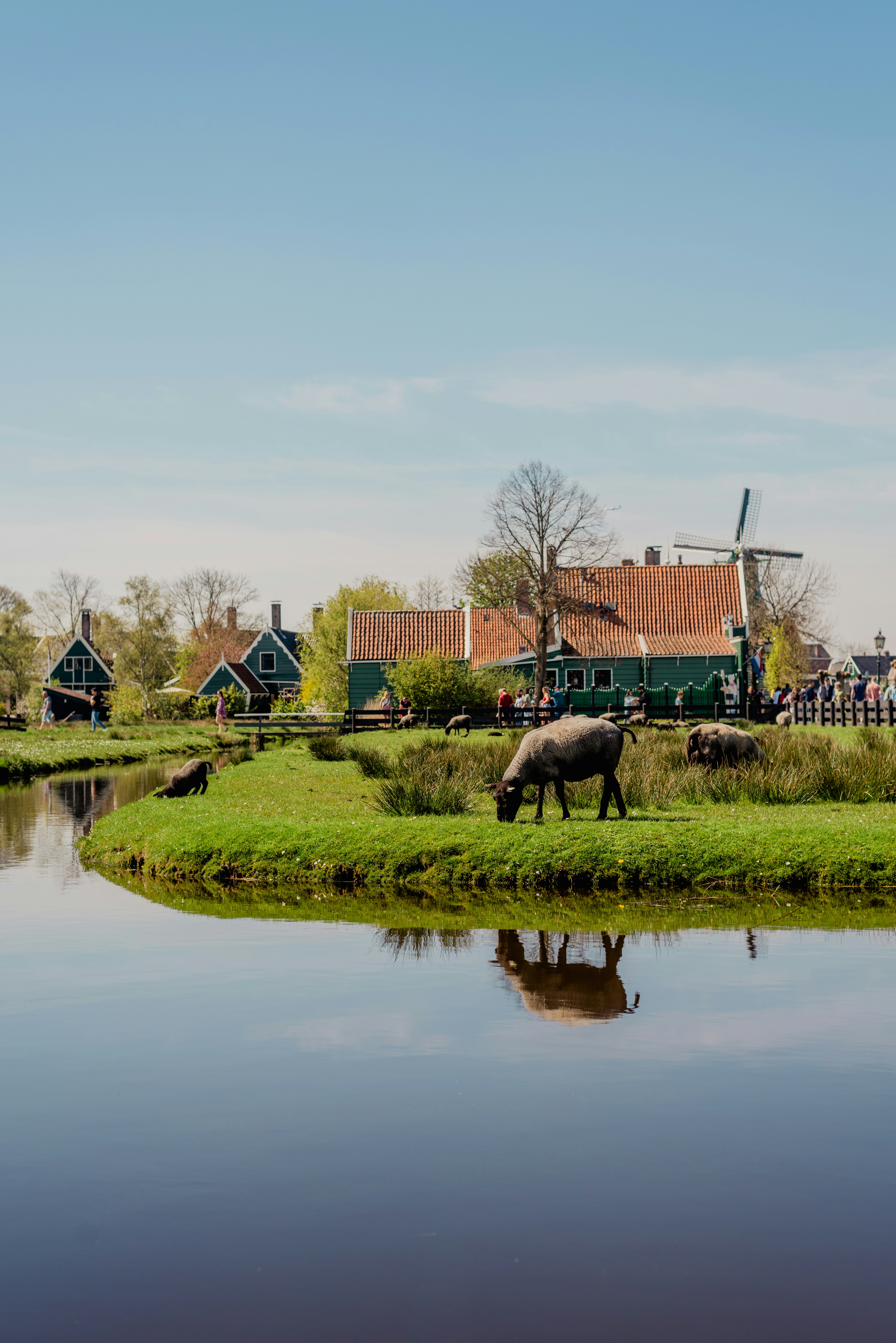 Boerderij in het buitengebied
